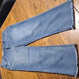 DEMOCRACY Jeans Womens 10 BLUE DENIM Preowned Light Wash Ab Technology Used